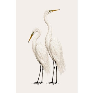 Crane Study 2, Neutral Coastal Bird Art Print, 40" X 60" For Sale