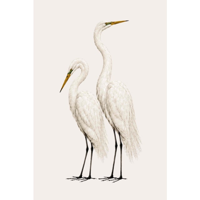 Crane Study 2, Neutral Coastal Bird Art Print, 40" X 60" For Sale