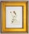 Custom Framed Vintage Finnish Herbarium Botanical Specimens, Set of Four For Sale In Houston - Image 6 of 16