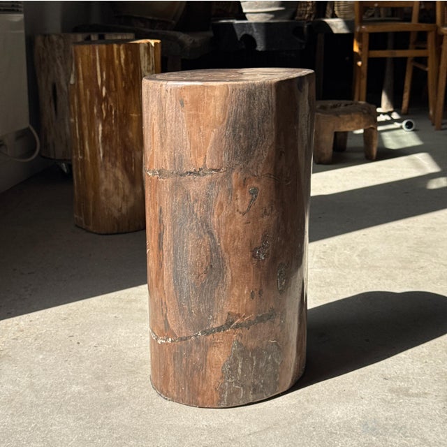 Side Table in Brown Petrified Wood, 1980s For Sale - Image 14 of 18