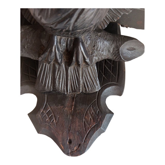 Eagle Wall Bracket Antique Black Forest Carved Glass Eye For Sale