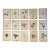 Collection of 15 Antique Herbarium Botanical Specimens in Wood Frames, Bergdorf Goodman Provenance For Sale