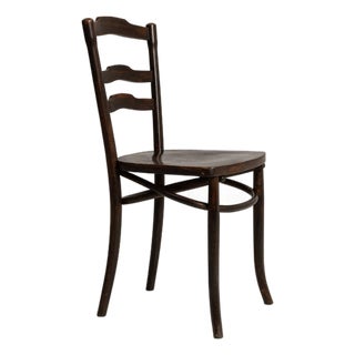 Early 20th Century France Brown Wood Lounge Chair For Sale