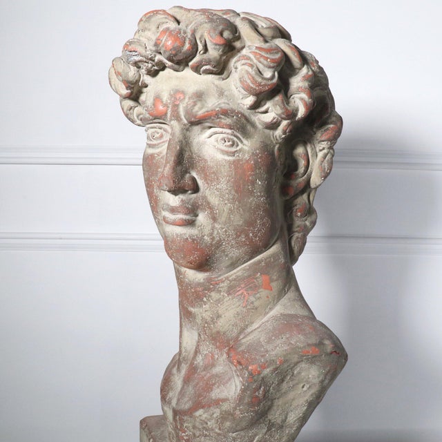 Mid Century Plaster Life-Size Bust of David Sculpture For Sale - Image 9 of 12
