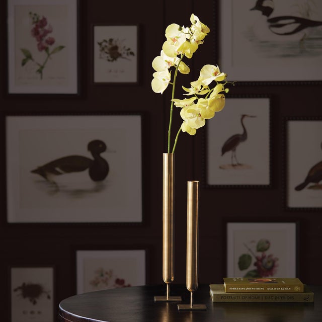 Kenneth Ludwig Chicago Phalaenopsis Orchid Stems 28" St/4 For Sale - Image 4 of 4