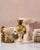 Gorgeous stoneware vase with a white and coffee glaze, this unique design is a perfect vessel for an off-beat overflowing...