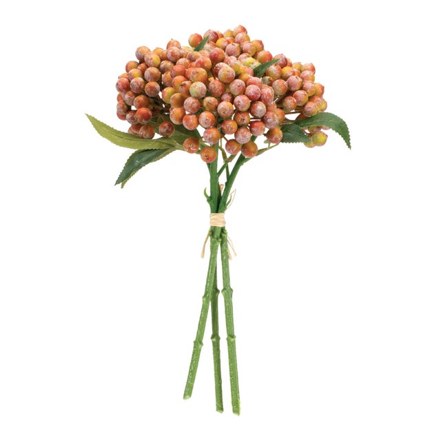 Enhance your home decor with the natural beauty of this Berry Bundle Set. Featuring a mix of warm orange, pink, and green...