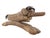 Jochanan Ben Yaakov, Brutalist German Israeli Hand Carved Wooden Dada Sculpture Ben Yaakov For Sale - Image 4 of 4