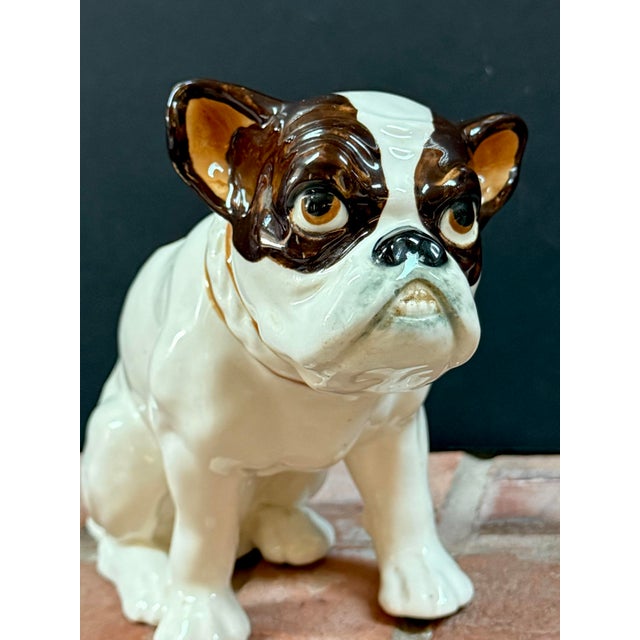 Made in the former Czechoslovakia sometime in the 1920s/30s, this adorable little hand painted ceramic bulldog with its...