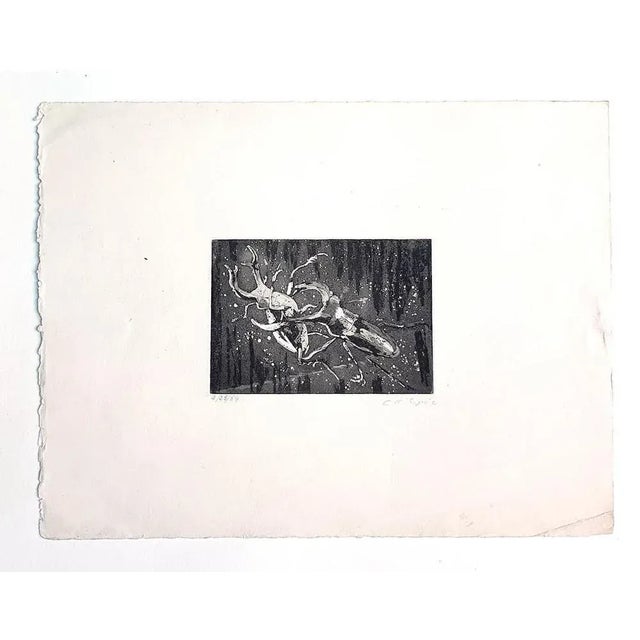 Insects is an original etching artwork on paper realized in 1954 by Christian D’ Espic (1901-1978). Hand-signed on the...