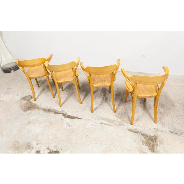 Bistro Armchairs, 1960s, Set of 4 For Sale - Image 4 of 18