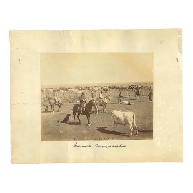 Unknown - Ancient Landscape in Ensenada - Mexico - Original Vintage Photo - 1880s For Sale