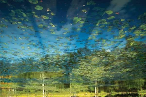 "Reflection 32" Landscape Color Photograph