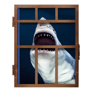 TASCHEN Books, "Michael Muller. Sharks" Photography Collection, Limited Edition, Signed