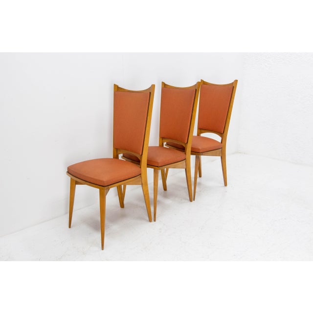 Mid-Century Dining Chairs in Beech and Red Moleskine, France, 1950s, Set of 6 For Sale - Image 6 of 13