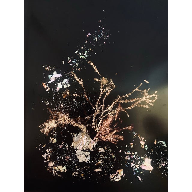 Black 1960’s ‘Seascape’ Coral Reef Classic Vintage Mid-Century Couroc of Monterey Serving, Bar Tray For Sale - Image 8 of 11