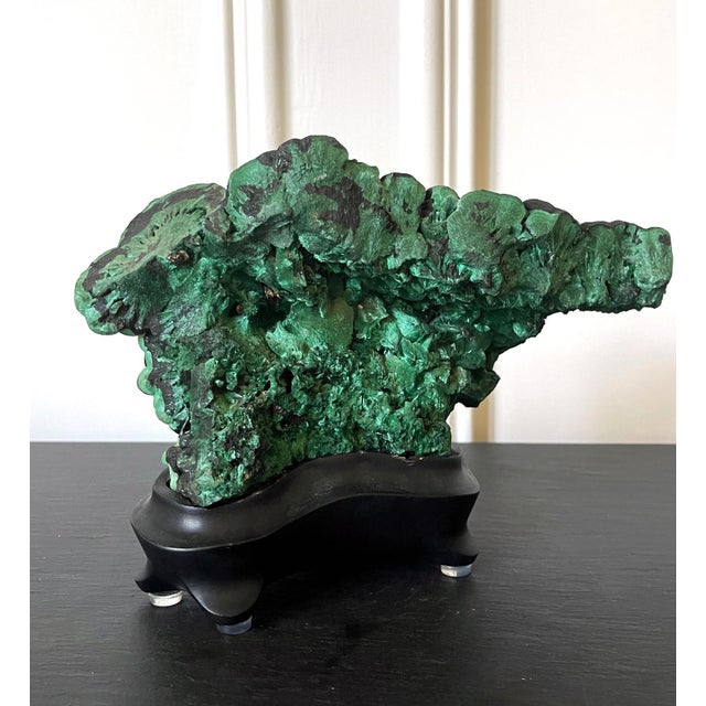 A natural malachite rock specimen with striking green and black colors fitted on a wood stand for viewing and meditating....
