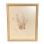 Framed Antique Herbarium Botanicals, 1897 — Set of 10 For Sale - Image 9 of 17