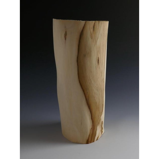 Through the Window Vase in Fig Tree Wood by Yann Marot For Sale - Image 6 of 10