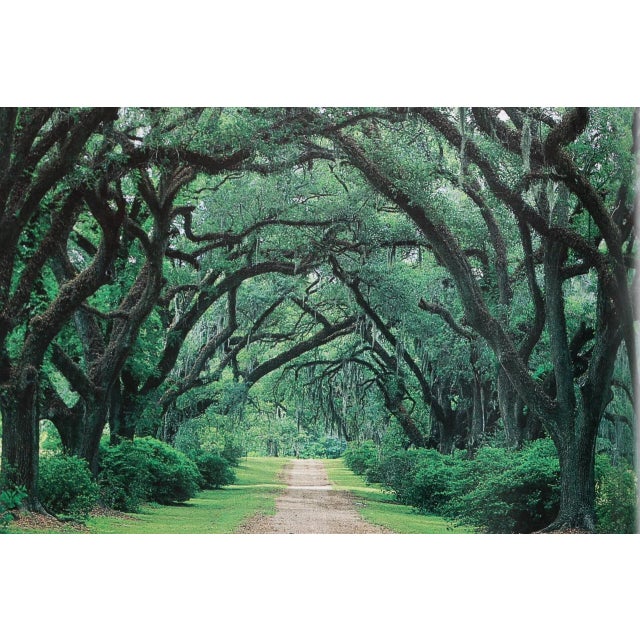 Common Threads - Photographs and Stories From the South For Sale - Image 4 of 7