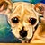 1989 Vintage Large Scale Contemporary Dog Portrait Original Oil Painting, “Chester” Artist Signed For Sale - Image 12 of 13