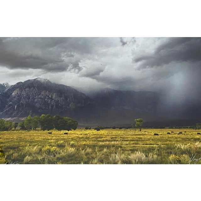 Lloyd Baggs "Soaring Hawk at Round Valley - Near Bishop, Ca" Signed Photograph C.2010 Dimensions 17" wide x 11.25" high...