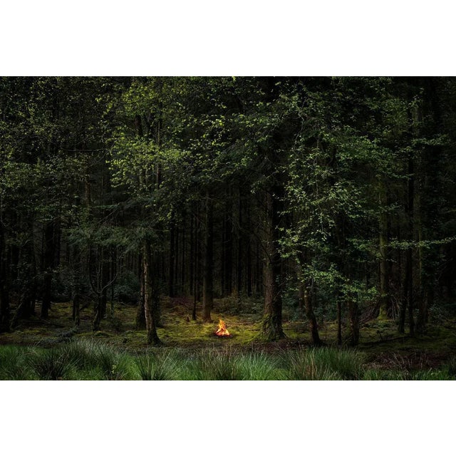 Fires 8 is a stunning Digital C-Type print on Fuji Maxima Matte paper, available in this size in a Limited Edition of 7 +...