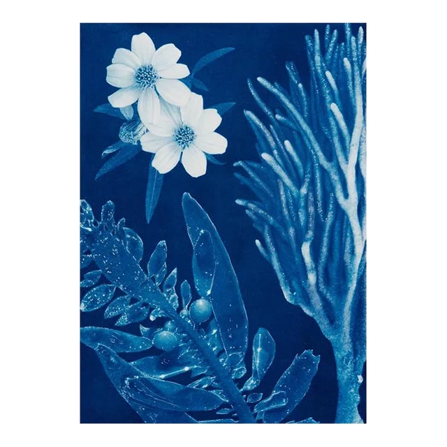 A Surreal Watercolor and Cyanotype on Hahnemuhle Platinum Rag Paper, "Saltwater Gradient, Var 6" For Sale