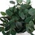 Essence Eucalyptus Accent & Vase For Sale In Chicago - Image 6 of 7