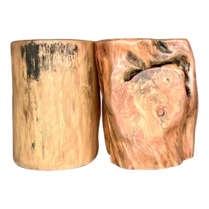 Boho Colored Tree Trunk Drinks Tables - Set of 2