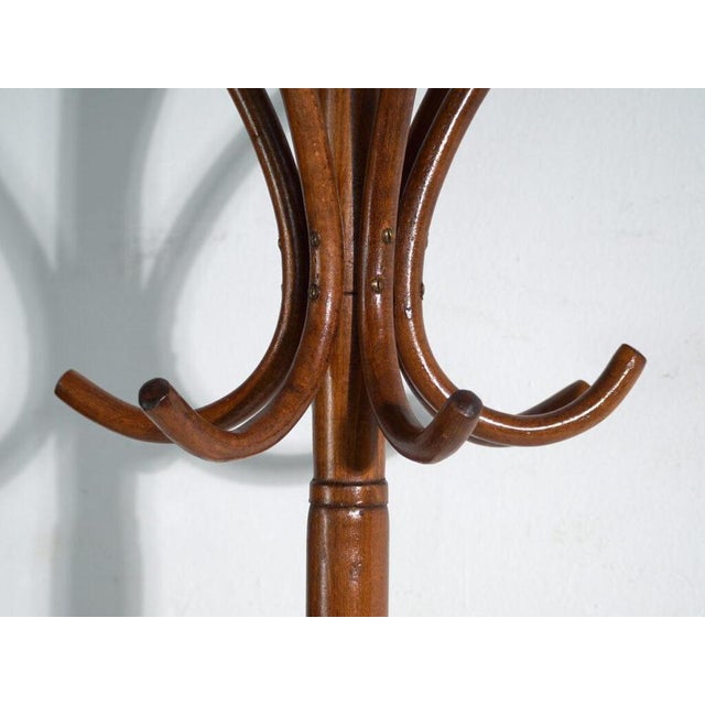Antique Bentwood Coat Stand from Thonet, Central Europe, 1900 For Sale - Image 4 of 6