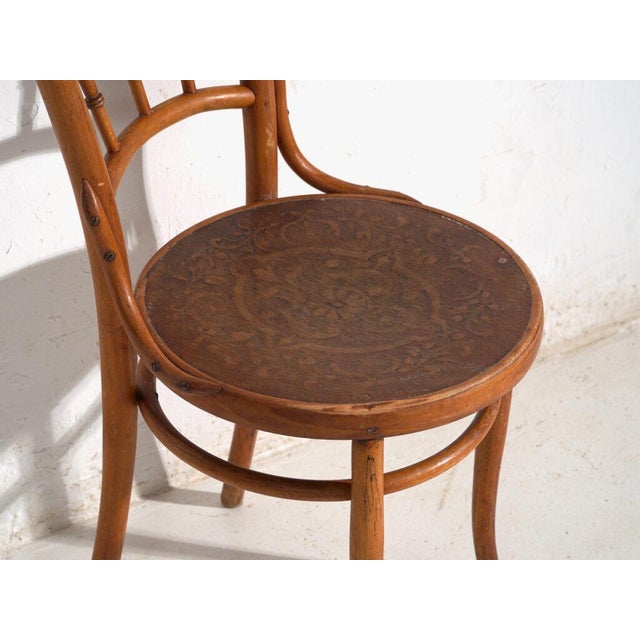 Wood Antique Bentwood Chairs, Central Europe, 1900s, Set of 2 For Sale - Image 7 of 11