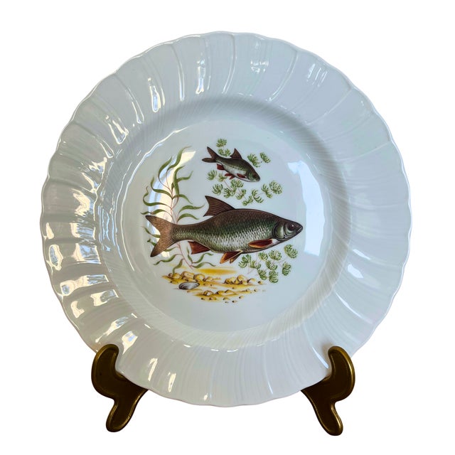 Ceramic Porcelain Fish Plates Service for 12 with Hand-Painted Freshwater Fish from Limoges, France, 1930s, Set of 12 For Sale - Image 7 of 11