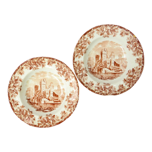 19thC, C.1880 Antique English Staffordshire Copeland / Spode Acora Transferware Bowls , Pair