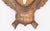 Cabin Black Forest Roe Deer Antlers Hunting Trophy 1950 Mount For Sale - Image 3 of 7
