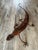 1980s Large EisenArt Handmade Steel Lizard Sculpture by Isa Cooley & Axel Soldwedel, Sedona For Sale - Image 4 of 12