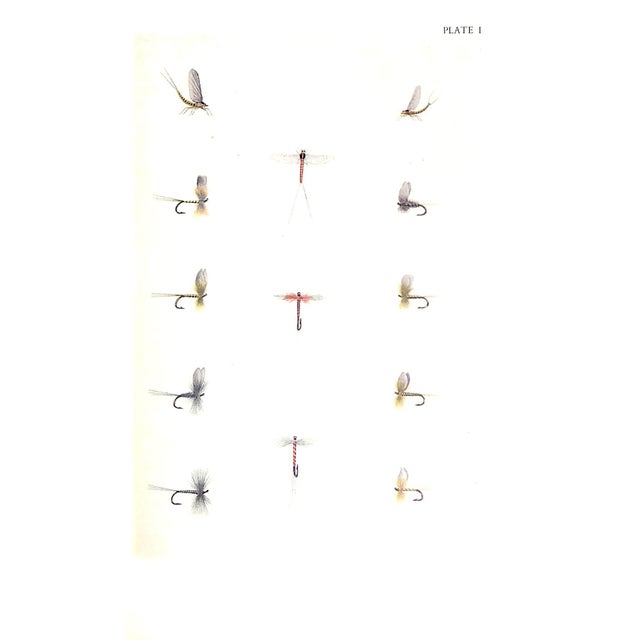 "Chalk Stream Flies" Book 1953 Walker, c.f. For Sale In New York - Image 6 of 7