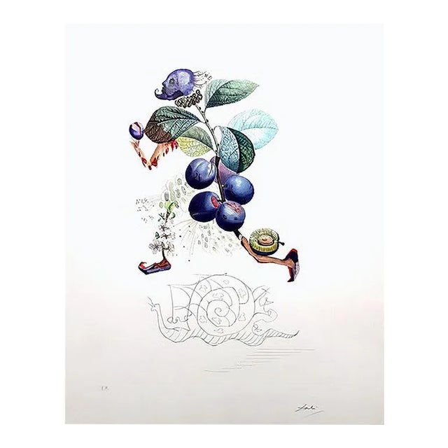 Salvador Dali, Plum, Hand-Signed Lithograph, 1969 For Sale