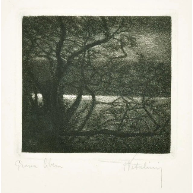 Landscape - Original Etching on Paper by Francesco Vitalini - 1904 1904 For Sale