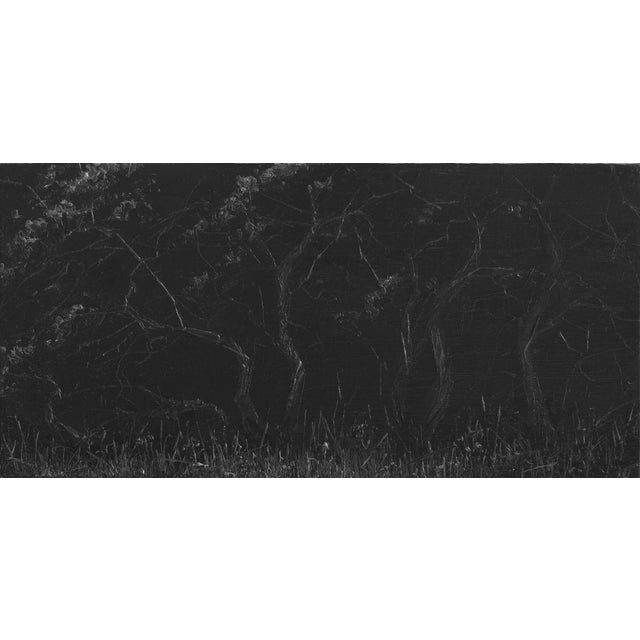 In "Growth of Decay," dark, muted tones dominate the composition, creating an atmosphere of introspection and stillness....