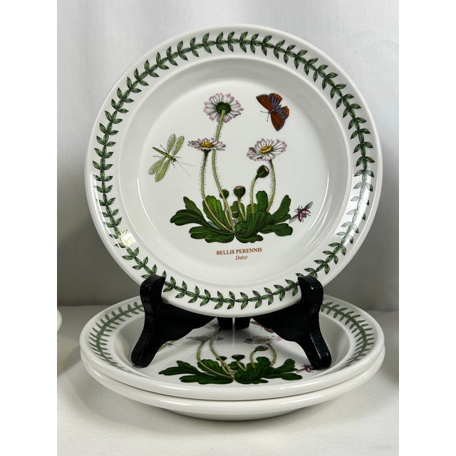English Portmeirion Botanic Garden 1972 England Bread and Butter Plates- Set of 9 For Sale - Image 3 of 11