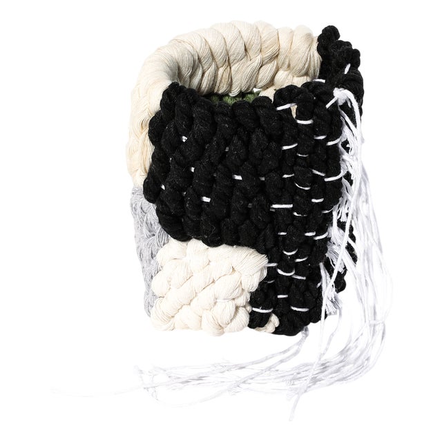 Mini Essence Basket #2 by Mariadela Araujo For Sale