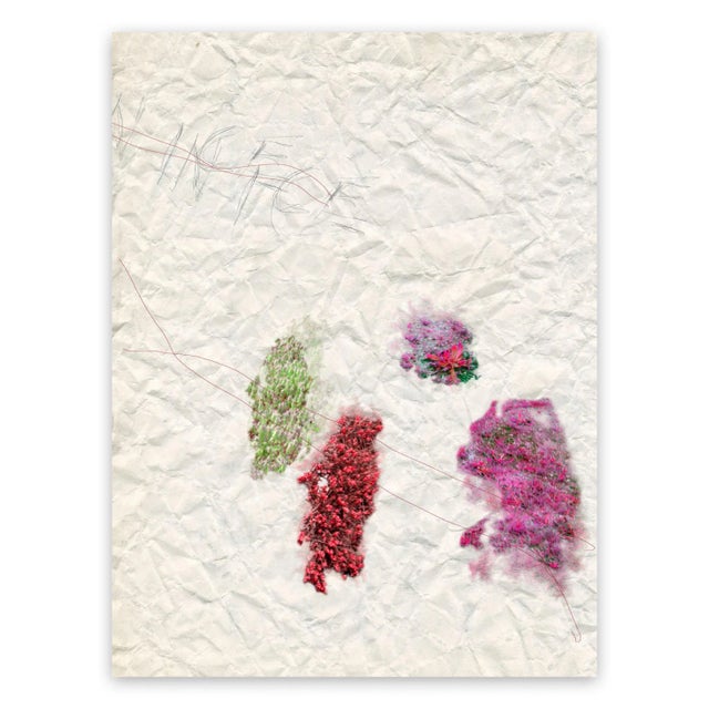 Gianfranco Pezzot Gianfranco Pezzot "Iv. Nice" Photograph For Sale - Image 4 of 4