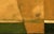 2020s Golden Fields by Justin Wheatley | Acrylic on Canvas White Barn With Gold Fields For Sale - Image 5 of 12
