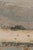 Rug & Kilim Rug & Kilim’s Modern Rug, Silver-Gray and Gold in Bold Abstract Pattern For Sale - Image 4 of 10