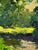 Oil Painting a Walk Through the Evening Forest Boris Serdyuk For Sale - Image 4 of 11