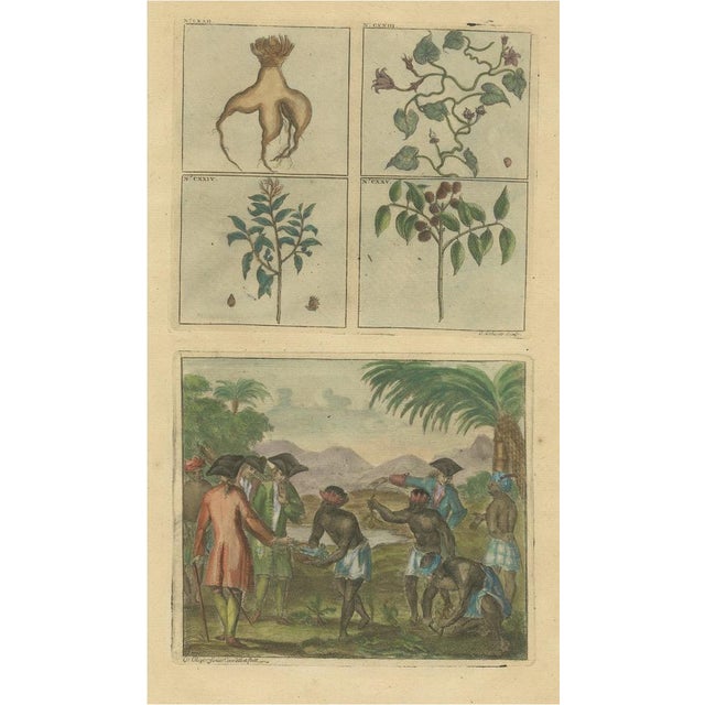 Plants and Trees and Indonesian Natives with Voc Men, 1726, Paper For Sale - Image 6 of 6
