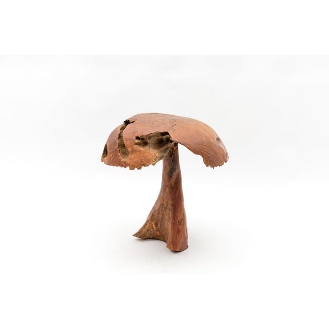 Brown Large Mid-Century Modern Mushroom, 1960s For Sale - Image 8 of 16
