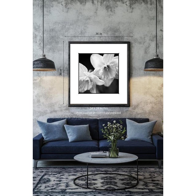 Fine art Giclee prints on Hahnemuhle Photo Rag 308gsm - a 100% cotton, acid-free, mould-made paper. Printed to Fine Art...