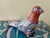 20th Century Mexican Folk Art Hand-Painted Tonalá Bird For Sale - Image 9 of 13